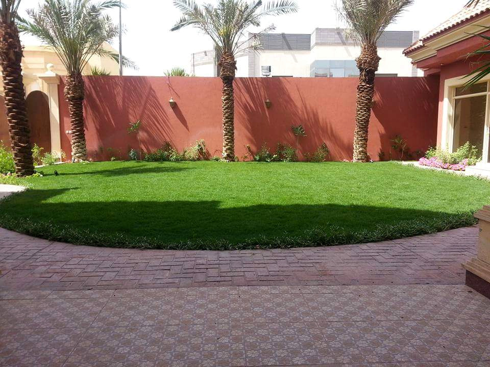حديقة منزلية منسقة في الرياض بعشب أخضر ونخيل وممر حجري